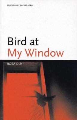Book cover for Bird at My Window