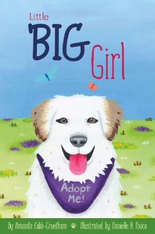 Cover of Little Big Girl