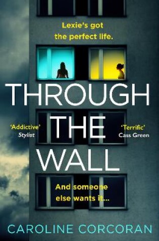 Cover of Through the Wall