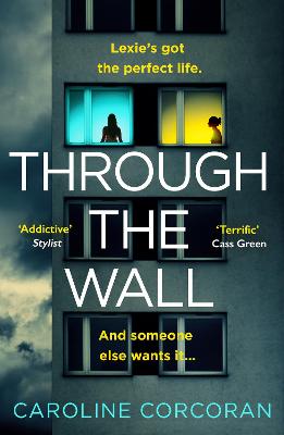 Book cover for Through the Wall