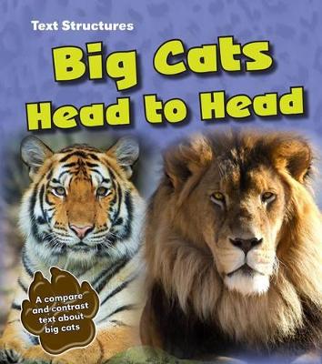 Book cover for Big Cats Head to Head