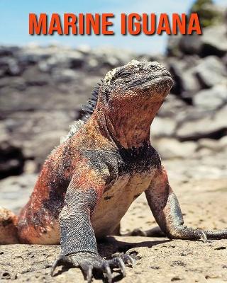 Book cover for Marine Iguana