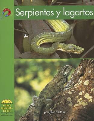 Cover of Serpientes Y Lagartos