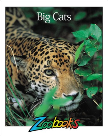 Book cover for Big Cats