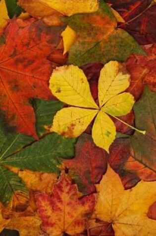 Cover of Arranged Autumn Leaves (for the Love of Nature)