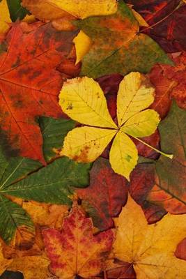 Book cover for Arranged Autumn Leaves (for the Love of Nature)