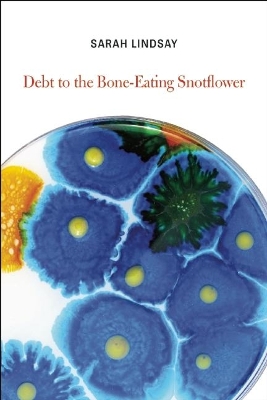 Book cover for Debt to the Bone-Eating Snotflower