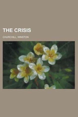 Cover of The Crisis - Volume 06