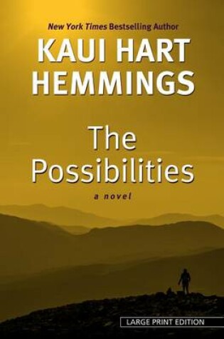 Cover of The Possibilities