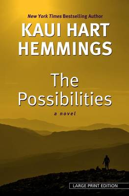 Book cover for The Possibilities