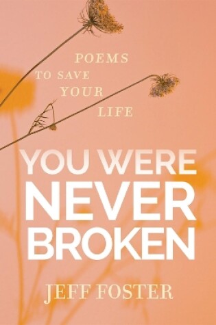 Cover of You Were Never Broken