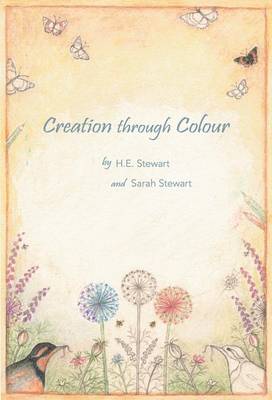 Book cover for Creation Through Colour