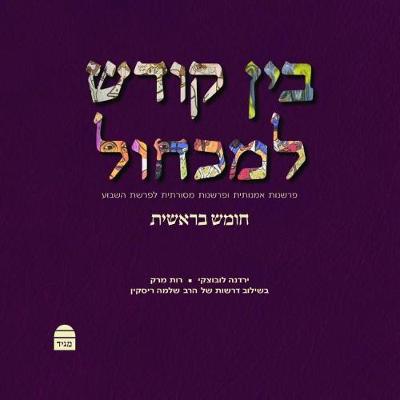 Book cover for Bein Kodesh Le-Mikchol