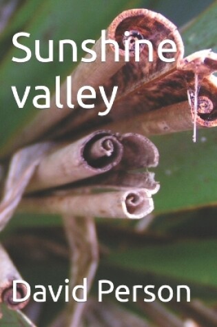 Cover of Sunshine valley