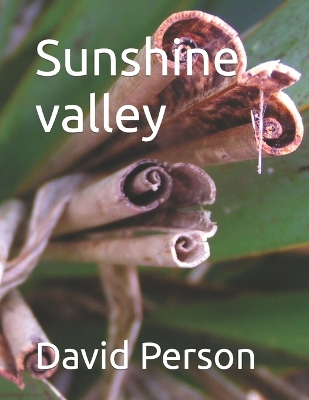 Book cover for Sunshine valley