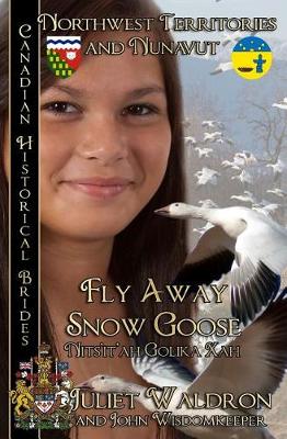 Book cover for Fly Away Snow Goose Nits'it'ah Golika Xah