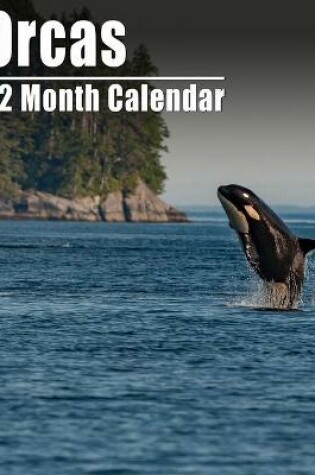 Cover of Calendar 2021 Orcas