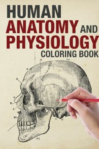 Cover of Human Anatomy and Physiology Coloring Book