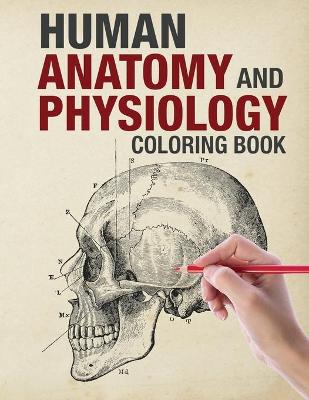 Book cover for Human Anatomy and Physiology Coloring Book