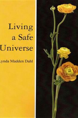 Cover of Living a Safe Universe