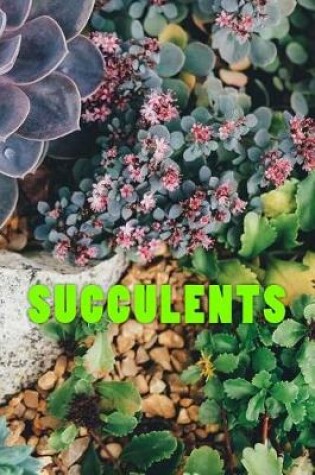 Cover of Succulents