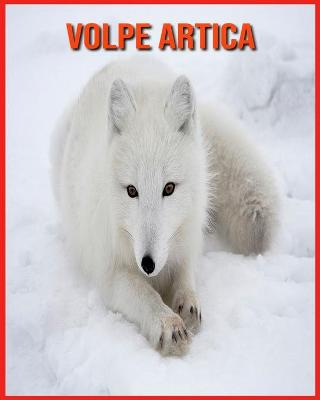 Book cover for Volpe Artica