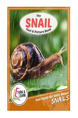 Book cover for The Snail Fact and Picture Book