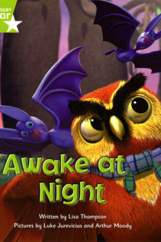 Cover of Fantastic Forest Green Level Fiction: Awake at Night