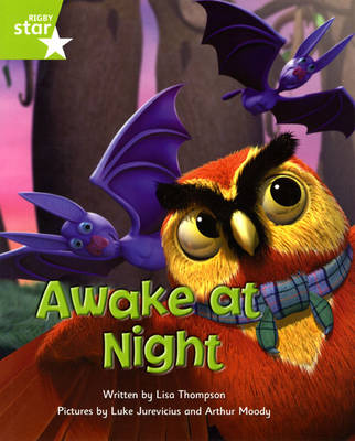 Book cover for Fantastic Forest Green Level Fiction: Awake at Night