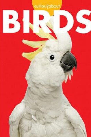 Cover of Curious about Birds