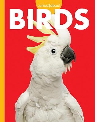 Book cover for Curious about Birds