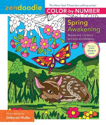 Book cover for Zendoodle Color-by-Number: Spring Awakening