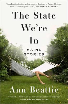 Book cover for The State We're in