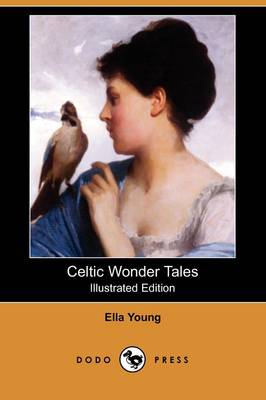 Book cover for Celtic Wonder Tales(Dodo Press)