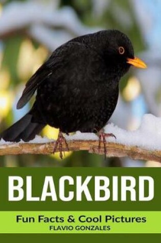 Cover of Blackbird