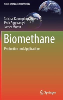 Book cover for Biomethane