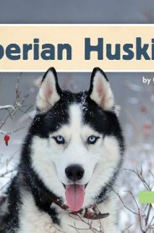 Cover of Siberian Huskies