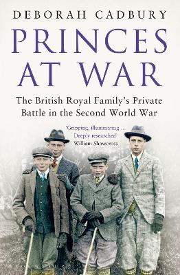 Book cover for Princes at War