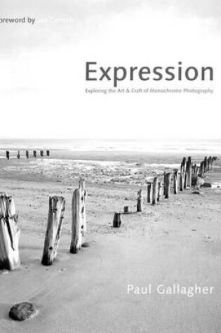 Cover of Aspects of Expression