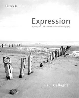 Book cover for Aspects of Expression