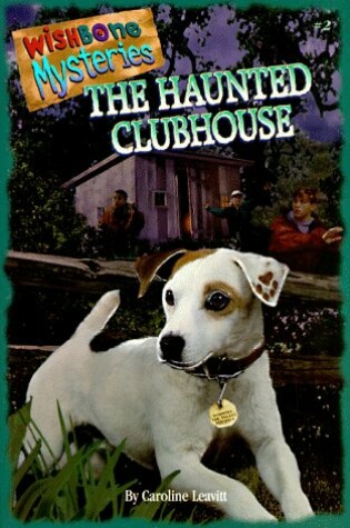 Cover of The Wishbone Mysteries