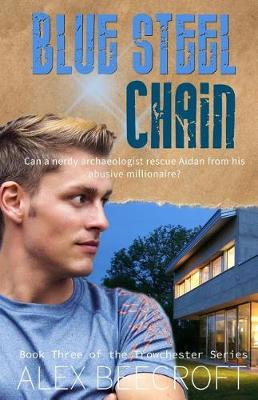 Book cover for Blue Steel Chain
