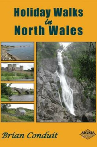 Cover of Holiday Walks in North Wales