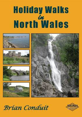 Book cover for Holiday Walks in North Wales