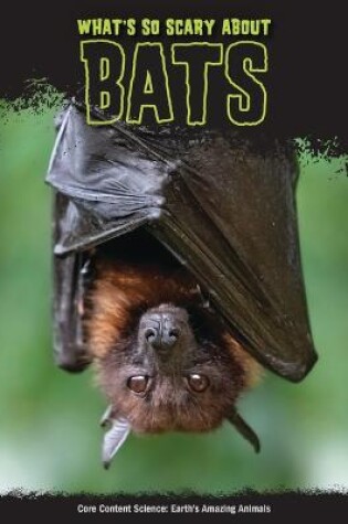 Cover of What's So Scary about Bats?