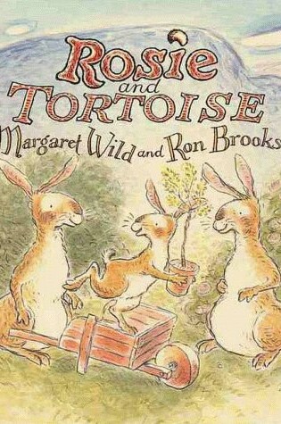 Cover of Rosie and Tortoise