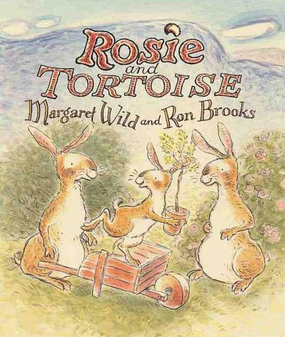 Book cover for Rosie and Tortoise