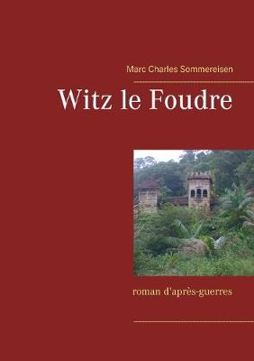 Book cover for Witz le Foudre