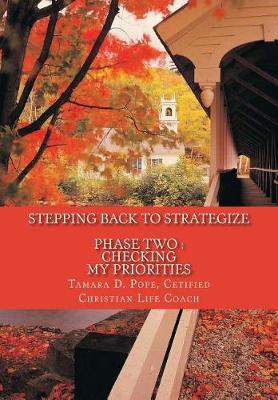 Book cover for Stepping Back to Strategize