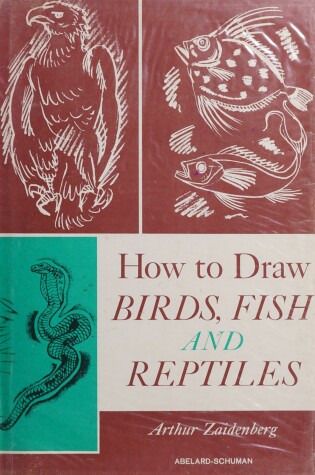 Cover of How to Draw Birds, Fish and Reptiles